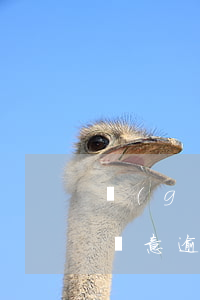 個(gè)人征信超過(guò)90天是惡意逾期嗎-個(gè)人征信超過(guò)90天是惡意逾期嗎怎么辦