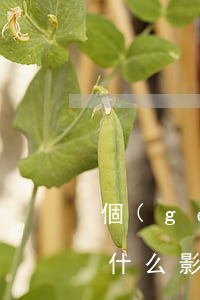 個(gè)人征信逾期11個(gè)月有什么影響-個(gè)人征信逾期11個(gè)月有什么影響嗎