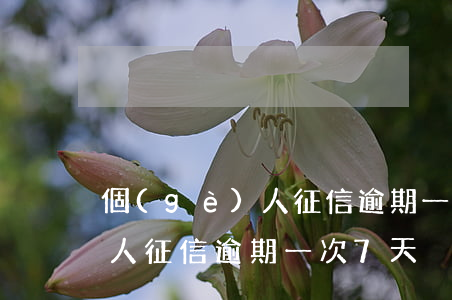 個(gè)人征信逾期一次7天(個(gè)人征信逾期一次7天)