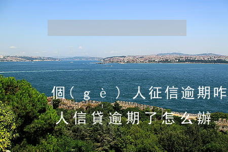 個(gè)人征信逾期咋辦貸款(個(gè)人信貸逾期了怎么辦)