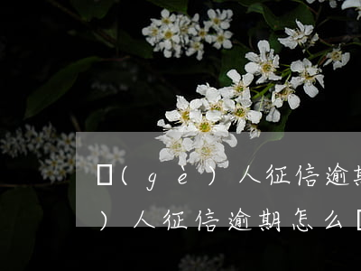 個(gè)人征信逾期怎么處理-個(gè)人征信逾期怎么處理最好