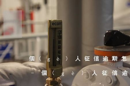 個(gè)人征信逾期怎么辦理公積金貸款-個(gè)人征信逾期怎么辦理公積金貸款業(yè)務(wù)