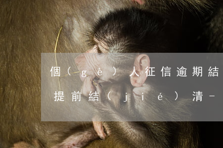 個(gè)人征信逾期結(jié)清顯示提前結(jié)清-個(gè)人征信逾期結(jié)清顯示提前結(jié)清什么意思