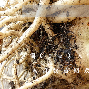 個(gè)人征信逾期能貸款么(個(gè)人貸款逾期幾天上征信)