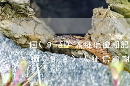 個(gè)人征信逾期記錄是什么樣子的-個(gè)人征信逾期記錄是什么樣子的啊