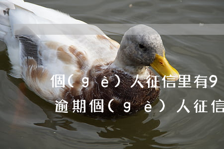 個(gè)人征信里有9個(gè)信用卡逾期(個(gè)人征信里出現(xiàn)8次逾期1)