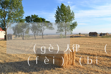 個(gè)人律師顧問(wèn)一年收費(fèi)標(biāo)準(zhǔn)(律師顧問(wèn)一年多少費(fèi)用)