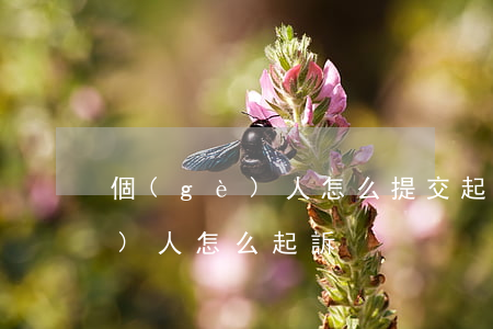 個(gè)人怎么提交起訴書(起訴個(gè)人怎么起訴)