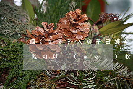 個(gè)人房子已經(jīng)抵押法院可以沒(méi)收嗎(抵押的房子可以被執(zhí)行嗎)