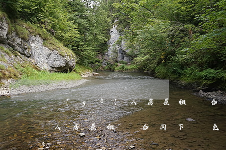 個(gè)人房屋租賃合同下載(個(gè)人房屋租賃合同下載免費(fèi))