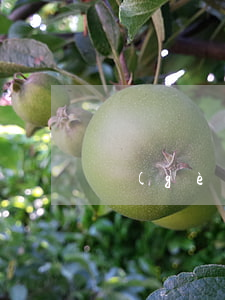 個(gè)人房屋租賃合同糾紛如何處理