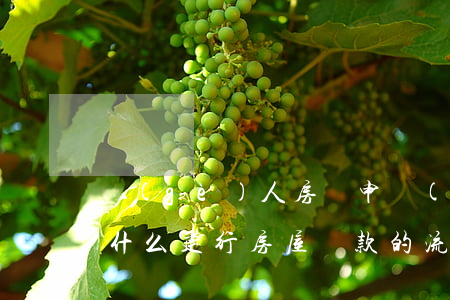 個(gè)人房貸申請(qǐng)條件是什么（建行房屋貸款的流程）