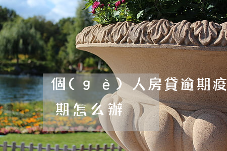 個(gè)人房貸逾期疫情(疫情期間房貸逾期怎么辦)