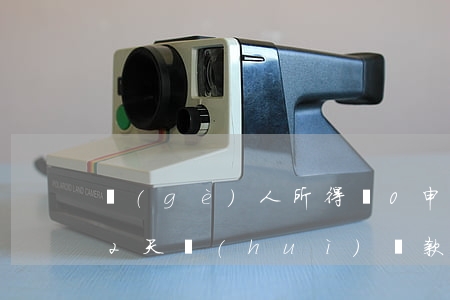個(gè)人所得稅0申報(bào)逾期2天會(huì)罰款-個(gè)人所得稅0申報(bào)逾期幾天怎么辦