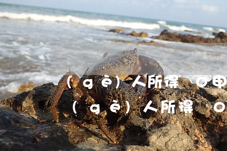 個(gè)人所得稅0申報(bào)逾期(個(gè)人所得稅0申報(bào)逾期補(bǔ)報(bào)要罰款嗎?)