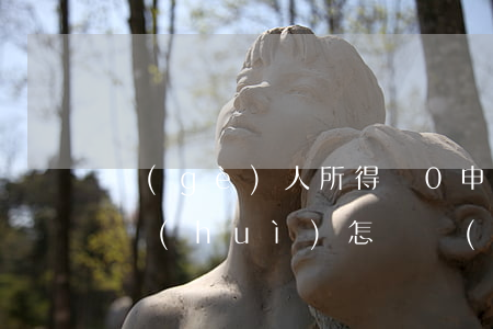 個(gè)人所得稅0申報(bào)逾期會(huì)怎樣(個(gè)人所得稅0申報(bào)逾期會(huì)怎樣)