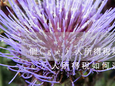 個(gè)人所得稅如何退稅(研究生個(gè)人所得稅如何退稅)