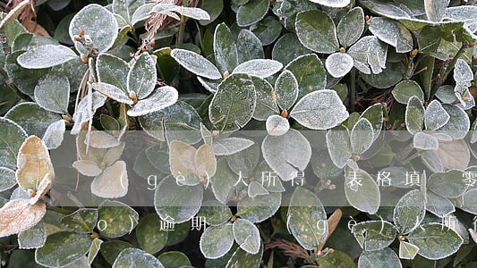 個(gè)人所得稅表格填寫零申報(bào)逾期-個(gè)人所得稅零申報(bào)逾期申報(bào)怎么辦