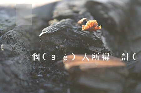 個(gè)人所得稅計(jì)算