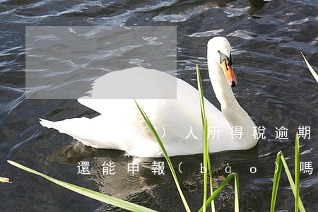 個(gè)人所得稅逾期當(dāng)月還能申報(bào)嗎-個(gè)人所得稅逾期當(dāng)月還能申報(bào)嗎