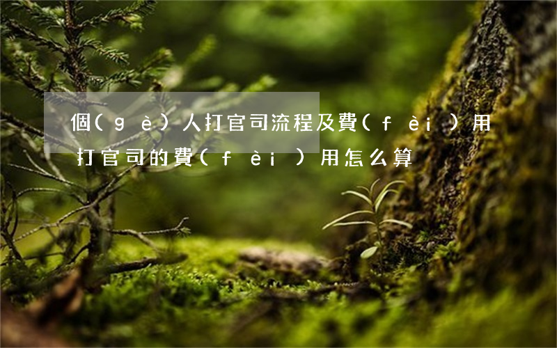 個(gè)人打官司流程及費(fèi)用(打官司的費(fèi)用怎么算)