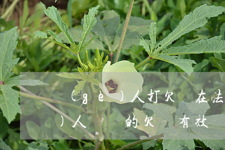 個(gè)人打欠條在法律生效嗎(個(gè)人簽訂的欠條有效嗎)