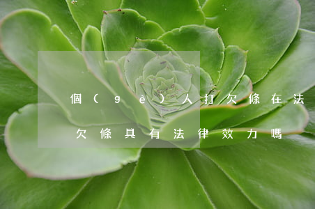 個(gè)人打欠條在法律生效嗎(自己打的欠條具有法律效力嗎)