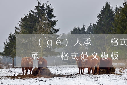 個(gè)人承諾書格式范文(個(gè)人承諾書格式范文模板)