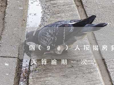 個(gè)人按揭房貸逾期10次(房貸款幾天算逾期一次)