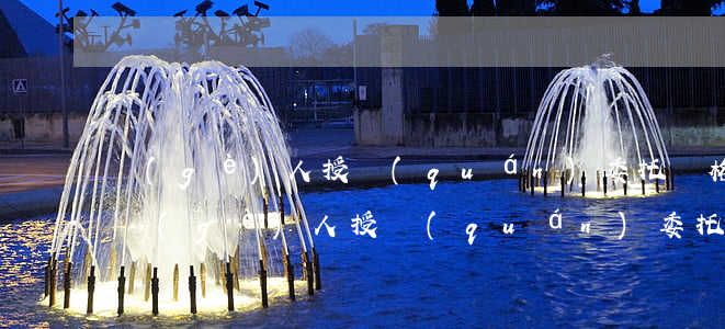 個(gè)人授權(quán)委托書格式(個(gè)人授權(quán)委托書范文樣本)