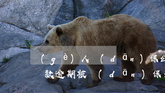 個(gè)人擔(dān)保公司貸款逾期(貸款逾期被擔(dān)保公司起訴)