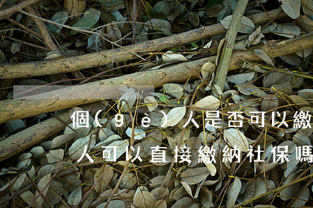 個(gè)人是否可以繳納社保(個(gè)人可以直接繳納社保嗎)