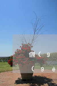 個(gè)人案件網(wǎng)上查詢(個(gè)人案底查詢網(wǎng)站)