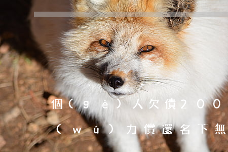 個(gè)人欠債200萬(wàn)已無(wú)力償還,名下無(wú)財(cái)產(chǎn)-個(gè)人欠款200萬(wàn)無(wú)力償還