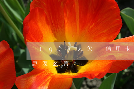 個(gè)人欠條信用卡利息(欠信用卡的利息怎么算)