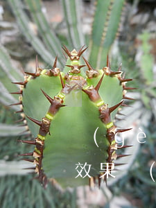 個(gè)人欠條怎么寫(xiě)有法律效果(個(gè)人欠款欠條怎么寫(xiě)具有法律效力)