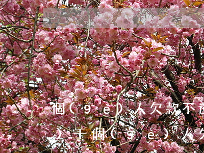 個(gè)人欠款不還如何處理，對(duì)于個(gè)人欠款不還的怎么處理