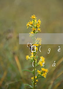 個(gè)人欠款催收平臺(tái)(平臺(tái)催款信息)