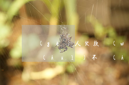 個(gè)人欠款無(wú)力償還怎么辦會(huì)不會(huì)影響夫妻-個(gè)人欠款無(wú)力償還怎么辦會(huì)不會(huì)影響夫妻財(cái)產(chǎn)