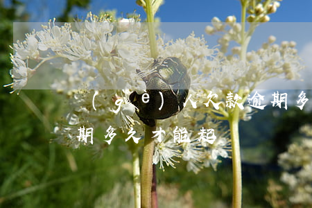 個(gè)人欠款逾期多久可以起訴(欠款逾期多久才能起訴)