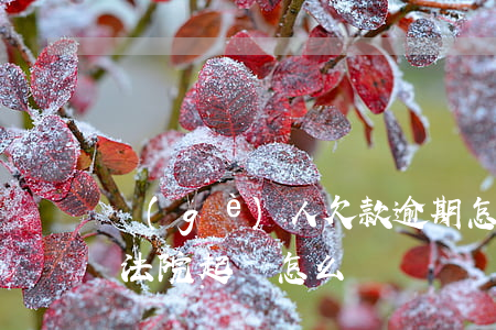 個(gè)人欠款逾期怎么起訴(欠款逾期被法院起訴怎么辦)