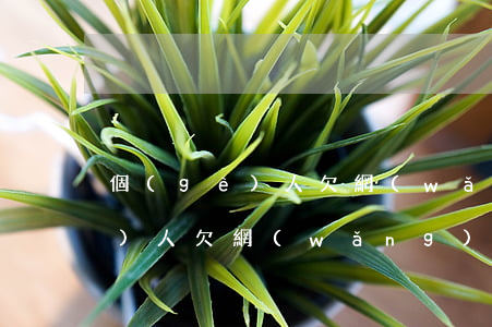 個(gè)人欠網(wǎng)貸(個(gè)人欠網(wǎng)貸會(huì)影響孩子考大學(xué)嗎)