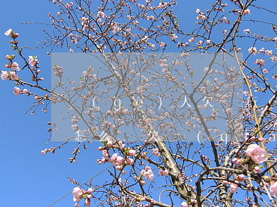 個(gè)人欠銀行錢(qián)還不上怎么辦(欠錢(qián)銀行錢(qián)還不出來(lái)后果如何)