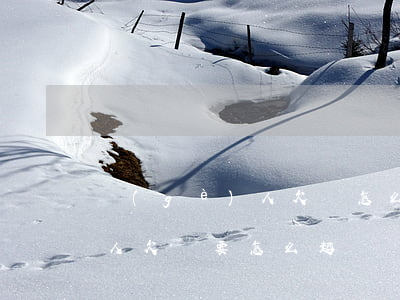 個(gè)人欠錢怎么起訴流程（個(gè)人欠錢要怎么起訴）
