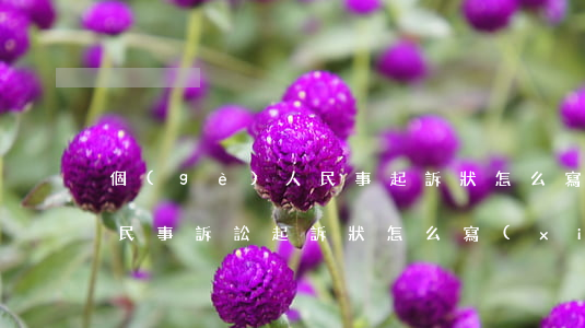 個(gè)人民事起訴狀怎么寫(xiě)(民事訴訟起訴狀怎么寫(xiě))