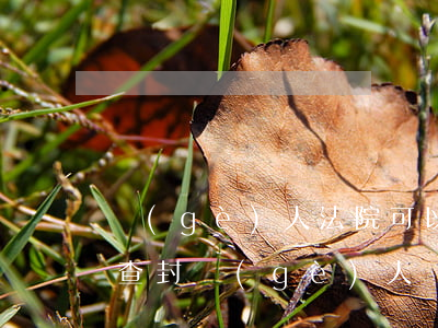 個(gè)人法院可以查封嗎(法院可以隨便查封個(gè)人財(cái)產(chǎn)嗎)