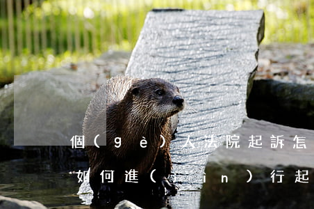 個(gè)人法院起訴怎么做(個(gè)人如何進(jìn)行起訴)