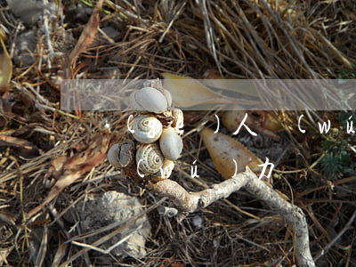 個(gè)人無(wú)力償還怎么生活-無(wú)力償還個(gè)人債務(wù)的后果