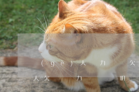 個(gè)人無力償還欠款聲明(個(gè)人欠債無力償還證明)
