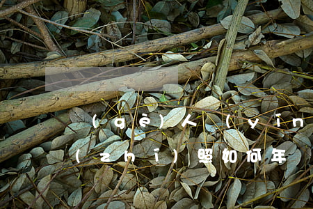 個(gè)人營(yíng)業(yè)執(zhí)照如何年審逾期后果-營(yíng)業(yè)執(zhí)照年審逾期如何處理